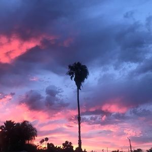 Meet your Posher, Joanna